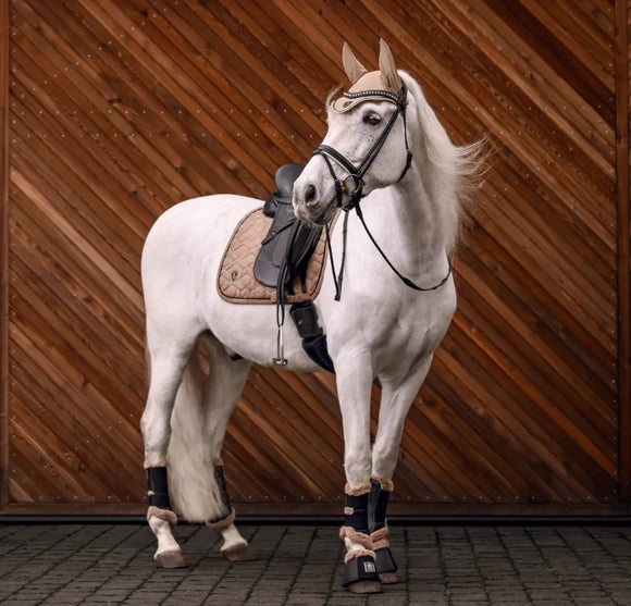 Cavallo Cavalpino Saddle pad Biscuit