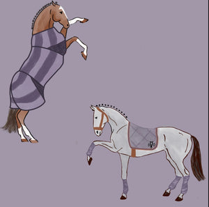 Deinhardt Purple Pony Club SS